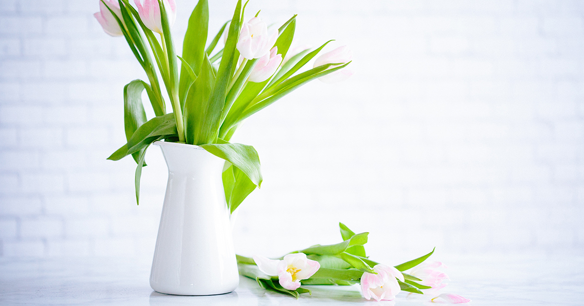 Simple Spring Cleaning Ideas: 30 Solutions and Sources